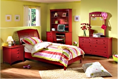 American Journal Collection in Ladybug